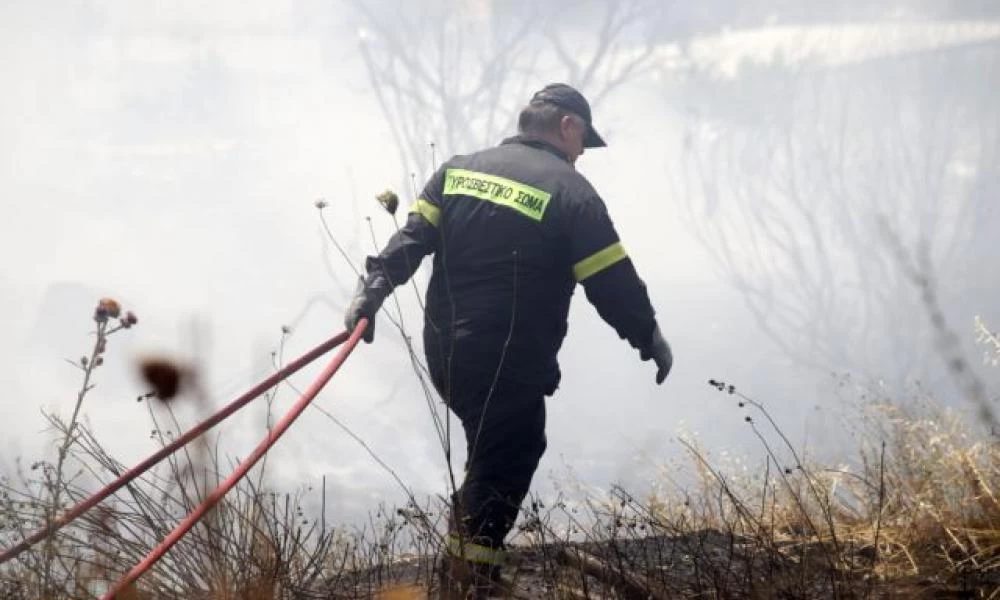 ΄Φωτιά τώρα στη Σαλαμίνα - Πυρκαγιά ξέσπασε κοντά στη Λεωφόρο Ιπποκράτους